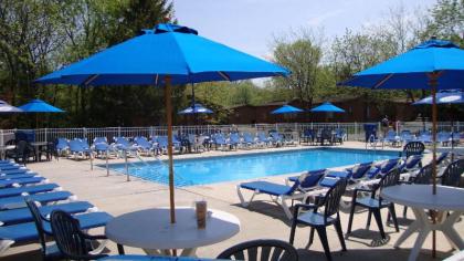Island Club #102 - image 15