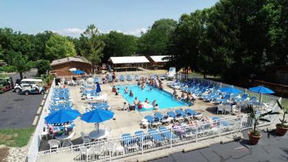 Island Club #102 - image 12
