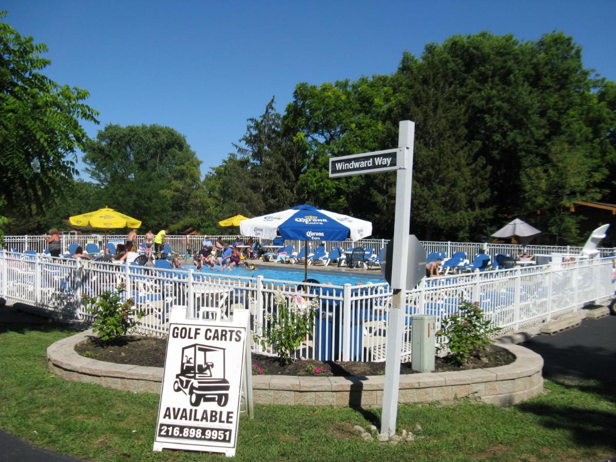 Island Club #109 - image 5
