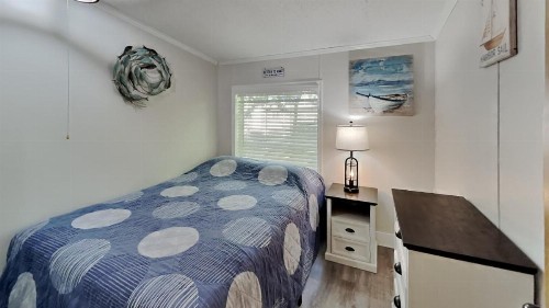 Island Club #4 - image 21