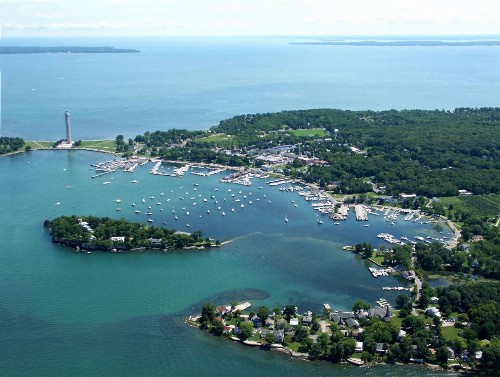 Island Club #4 - image 7