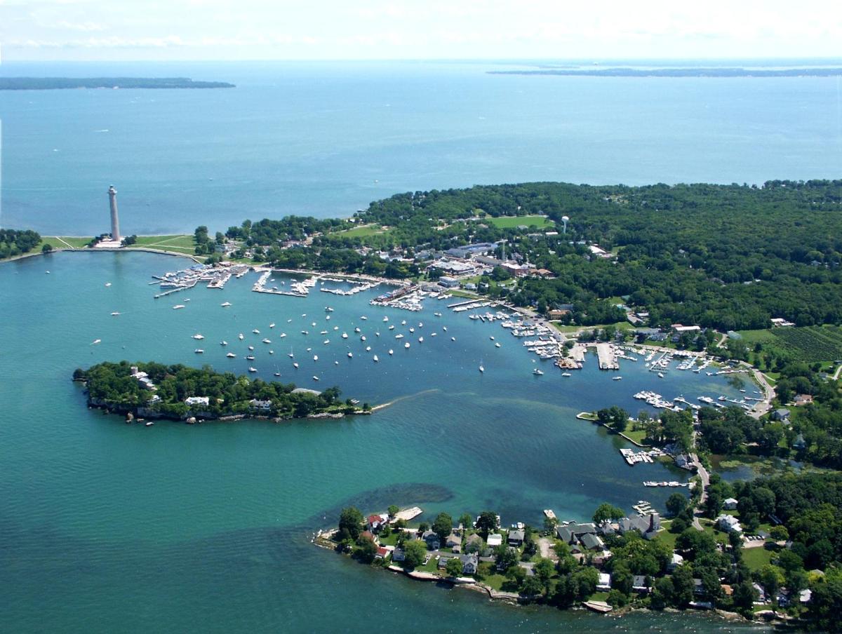 Island Club #4 - image 7