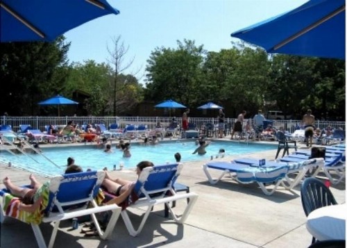Island Club #21 - image 6