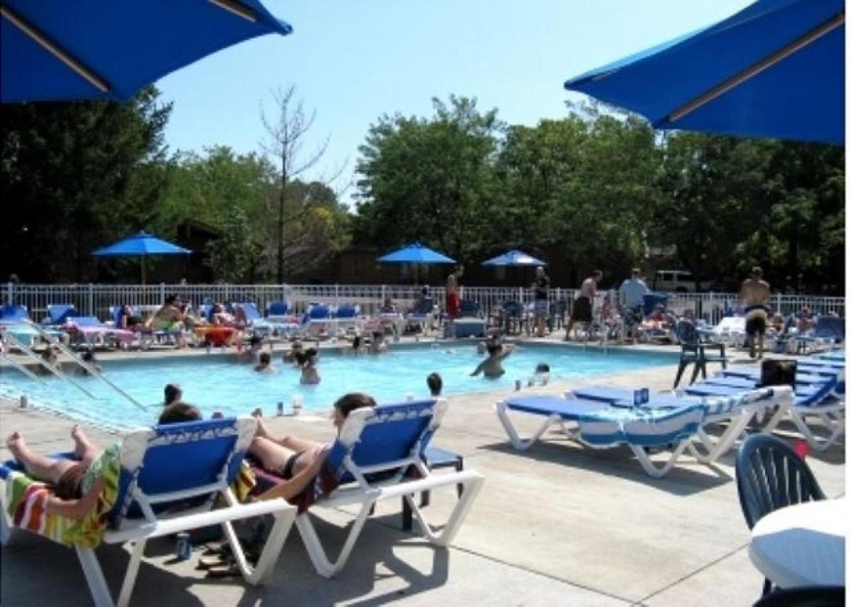 Island Club #21 - image 6