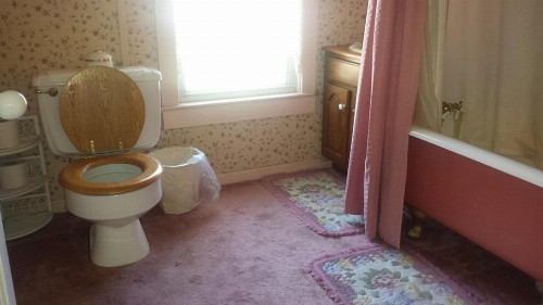Aunt Jane's Yellow House - image 7
