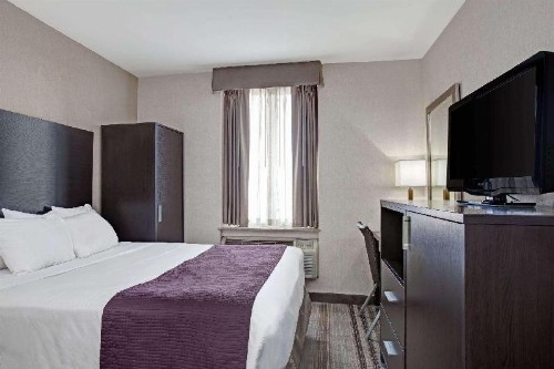 Days Inn by Wyndham Jamaica / JFK Airport - image 8