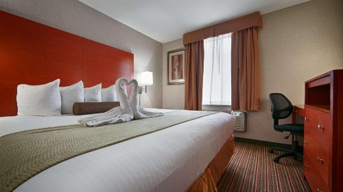Best Western Kennedy Airport - image 18