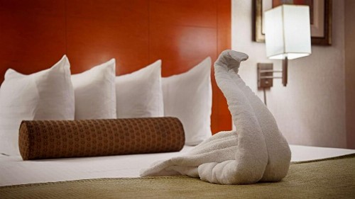 Best Western Kennedy Airport - image 30