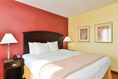 Lex View Inn at JFK Airport - image 8