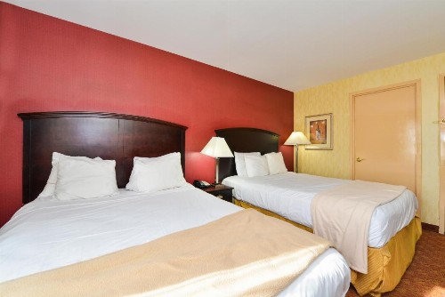 Lex View Inn at JFK Airport - image 10