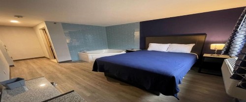 BLUE BIRD INN - image 6