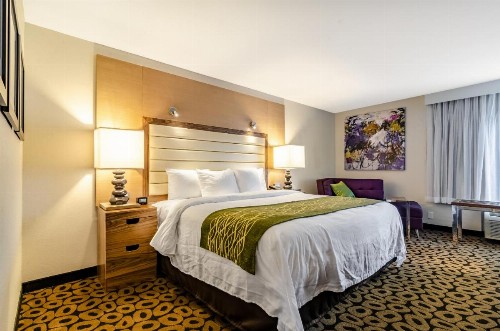 Comfort Inn Raleigh Midtown - image 14