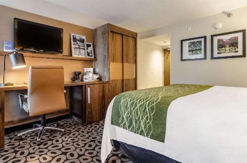Comfort Inn Raleigh Midtown - image 26