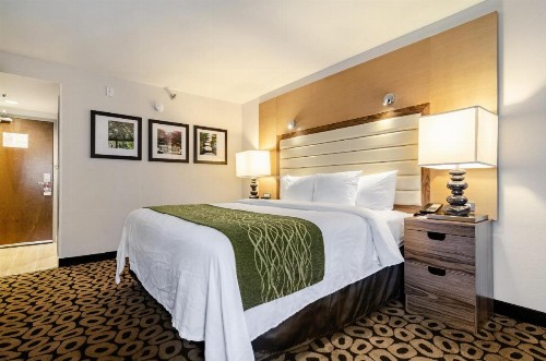 Comfort Inn Raleigh Midtown - image 27