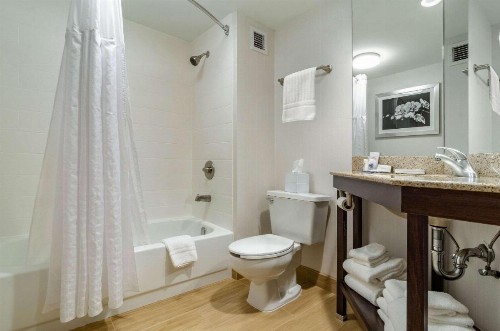 Comfort Inn Raleigh Midtown - image 29