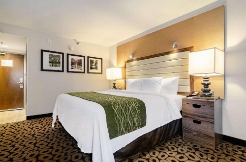 Comfort Inn Raleigh Midtown - image 33