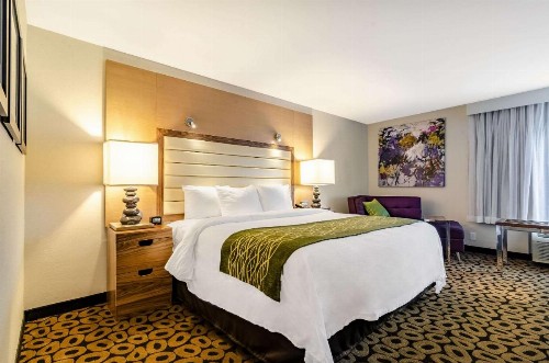 Comfort Inn Raleigh Midtown - image 37