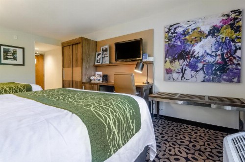 Comfort Inn Raleigh Midtown - image 39
