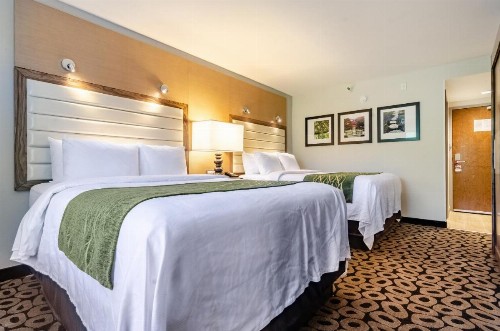 Comfort Inn Raleigh Midtown - image 45