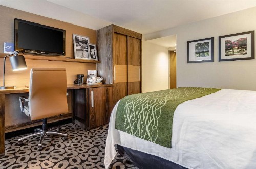 Comfort Inn Raleigh Midtown - image 47