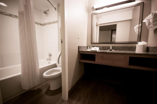Holiday Inn Raleigh Downtown an IHG Hotel - image 2