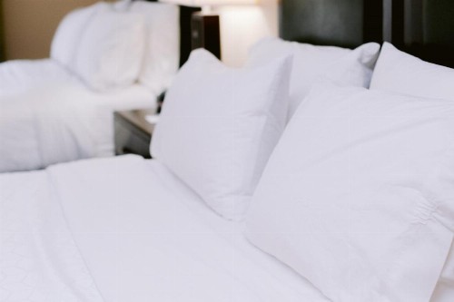 Holiday Inn Express Hotel Raleigh Southwest an IHG Hotel - image 11