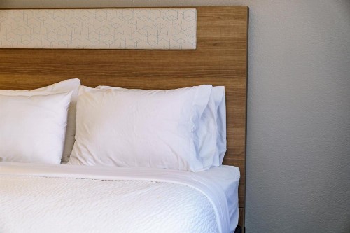 Holiday Inn Express Hotel Raleigh Southwest an IHG Hotel - image 12