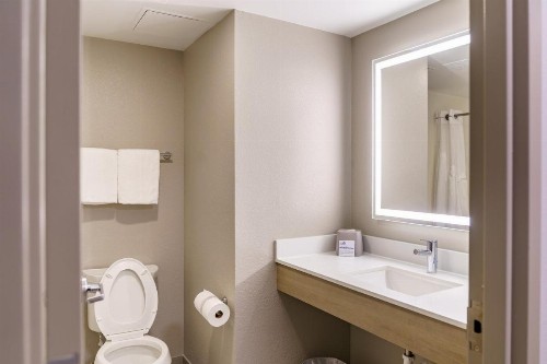 Holiday Inn Express Hotel Raleigh Southwest an IHG Hotel - image 2