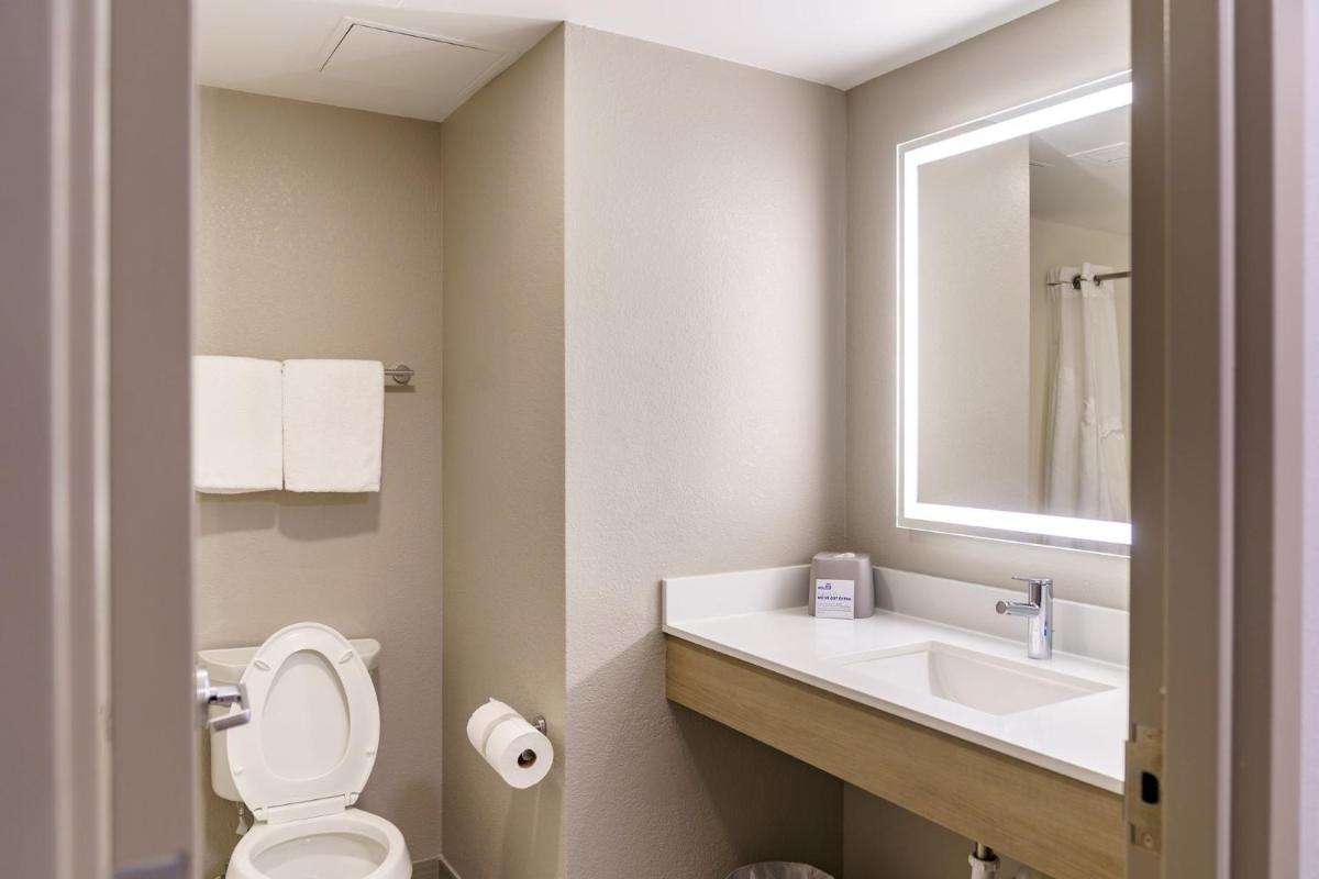 Holiday Inn Express Hotel Raleigh Southwest an IHG Hotel - image 2