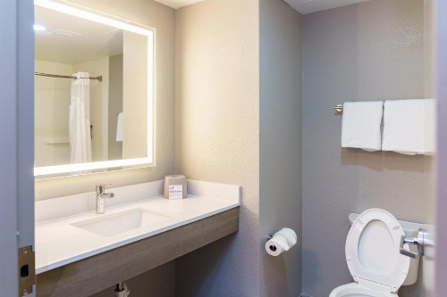 Holiday Inn Express Hotel Raleigh Southwest an IHG Hotel - image 36