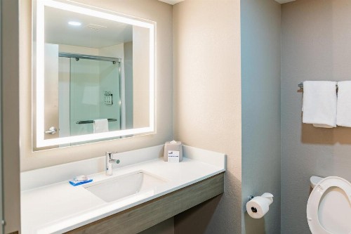 Holiday Inn Express Hotel Raleigh Southwest an IHG Hotel - image 4