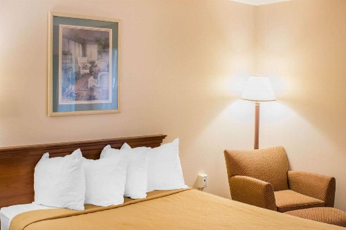 Quality Inn Raleigh near Walnut Creek Amphitheatre - image 18