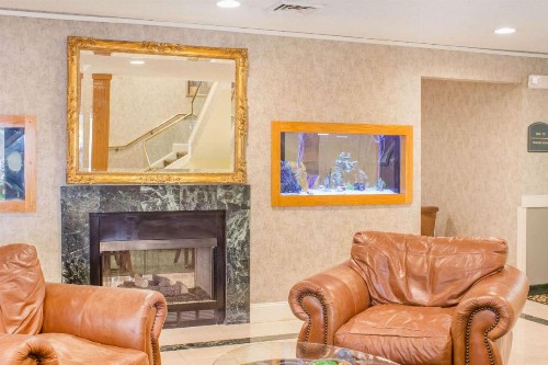 Quality Inn Raleigh near Walnut Creek Amphitheatre - image 8