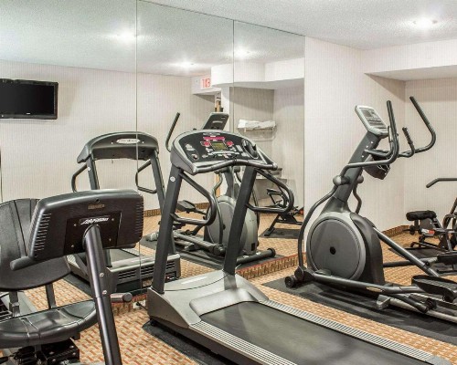 Quality Inn & Suites Raleigh North Raleigh - image 4