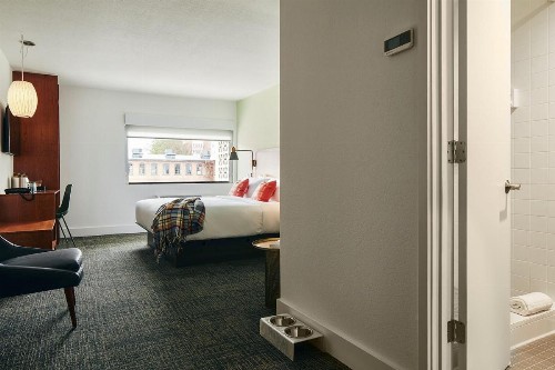 The Longleaf Hotel - image 8