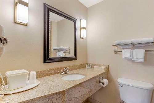 Quality Inn Raleigh Downtown - image 10