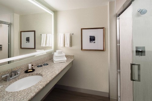 Sheraton Raleigh Hotel - image 6