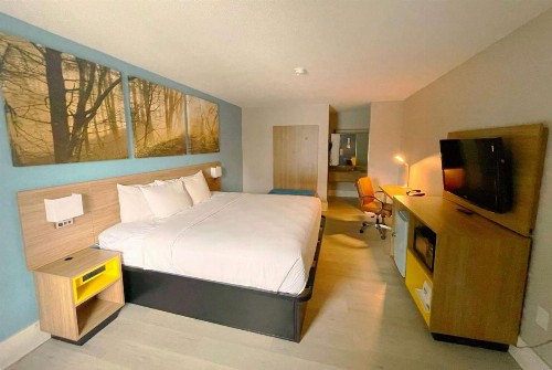 Days Inn by Wyndham Raleigh Glenwood-Crabtree - image 5