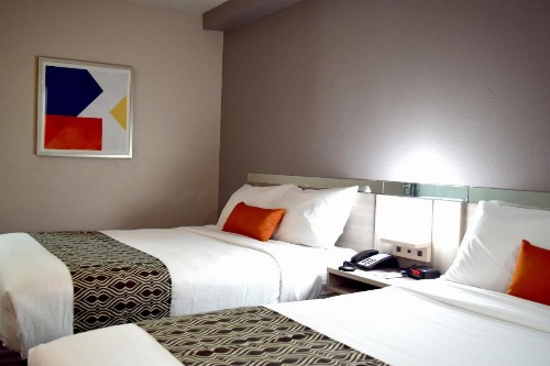 Microtel Inn & Suites by Wyndham Raleigh - image 47