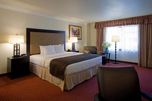 Holiday Inn Rancho Cordova - Northeast Sacramento an IHG Hotel - image 42