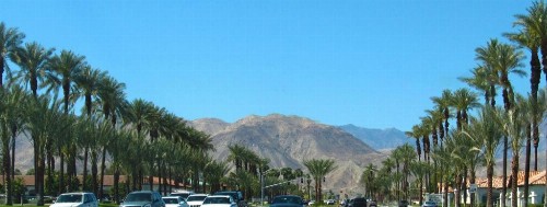 Dignitary Discretion Coachella Valley - image 25