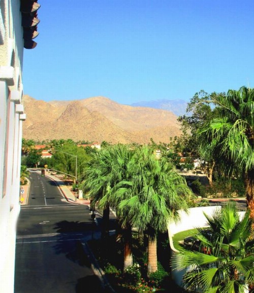 Dignitary Discretion Coachella Valley - image 6