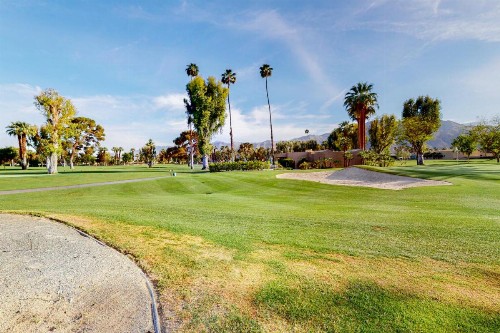 Mod Reflections at Tamarisk - image 11