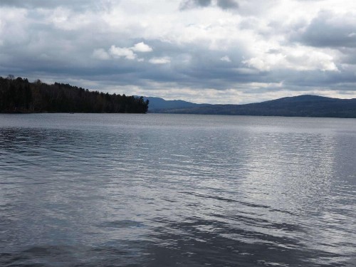 Loon Song - image 6