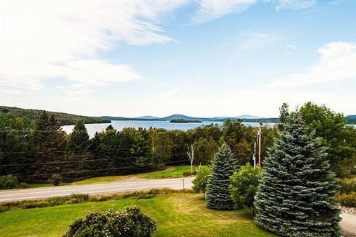 Blue Spruce by Morton & Furbish