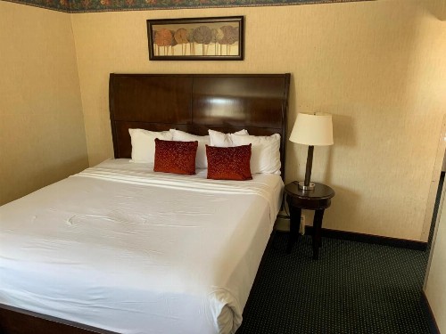 Travelodge by Wyndham Rapid City - image 23