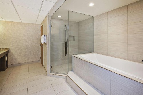 Holiday Inn Rapid City - Rushmore Plaza an IHG Hotel - image 12