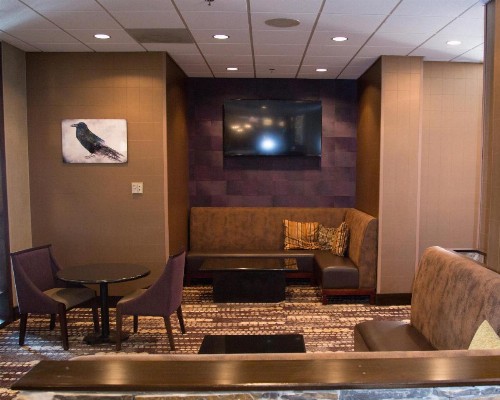Holiday Inn Rapid City - Rushmore Plaza an IHG Hotel - image 17