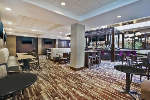 Holiday Inn Rapid City - Rushmore Plaza an IHG Hotel - image 38