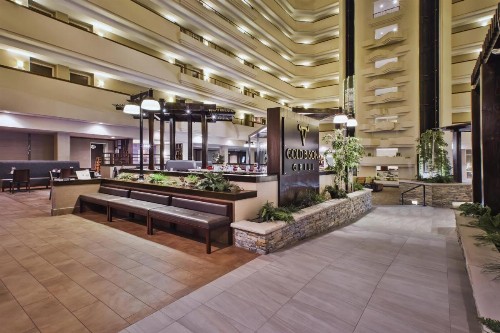 Holiday Inn Rapid City - Rushmore Plaza an IHG Hotel - image 40
